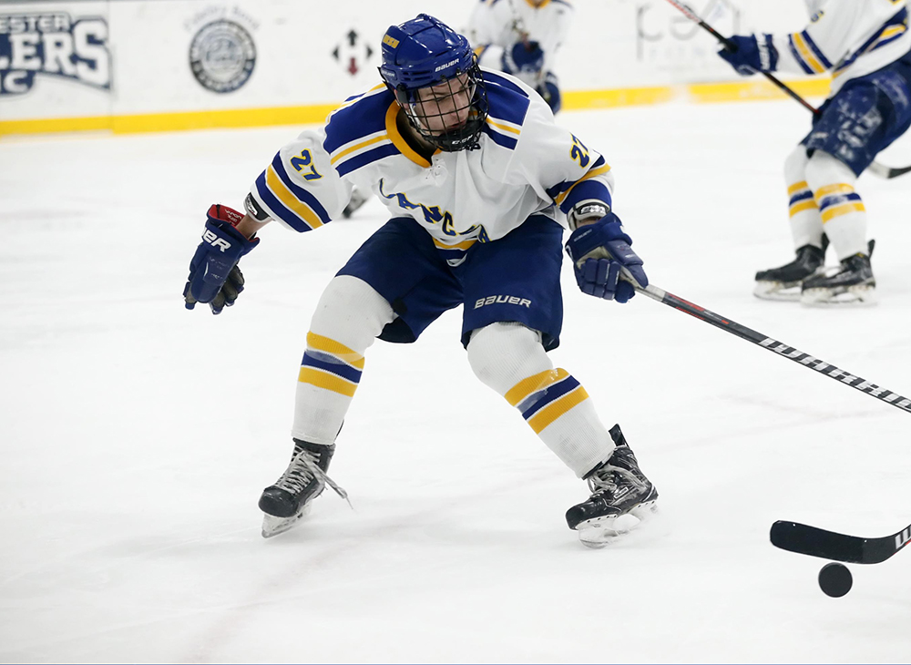 Men's Ice Hockey Falls Short Against Plymouth State