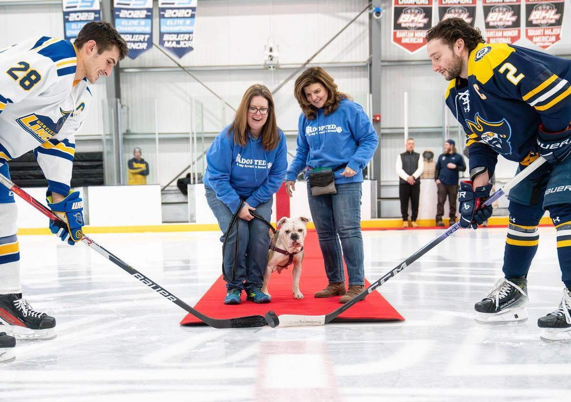 Worcester Hosts First Annual Dog Toy Toss in Loss to Corsairs
