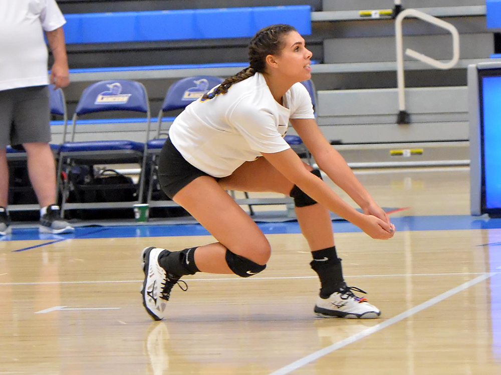 Women's Volleyball Earns Two Wins Against Fitchburg State and Wentworth