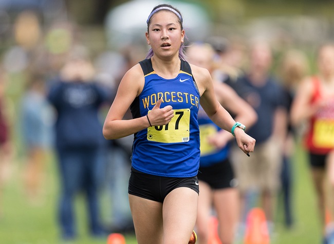 Rogers Completes NCAA Cross Country Championships